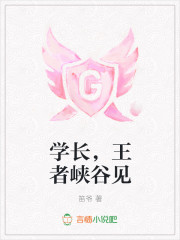 学长，王者峡谷见