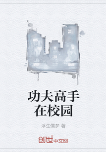 功夫高手在校园