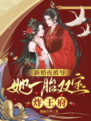 新婚夜被辱，她一胎双宝炸王府