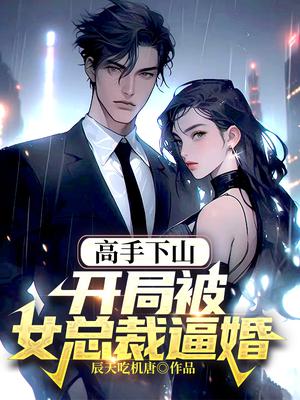 高手下山,开局被女总裁逼婚