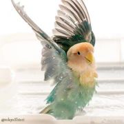 我可能重了个假生