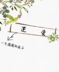 逆爱