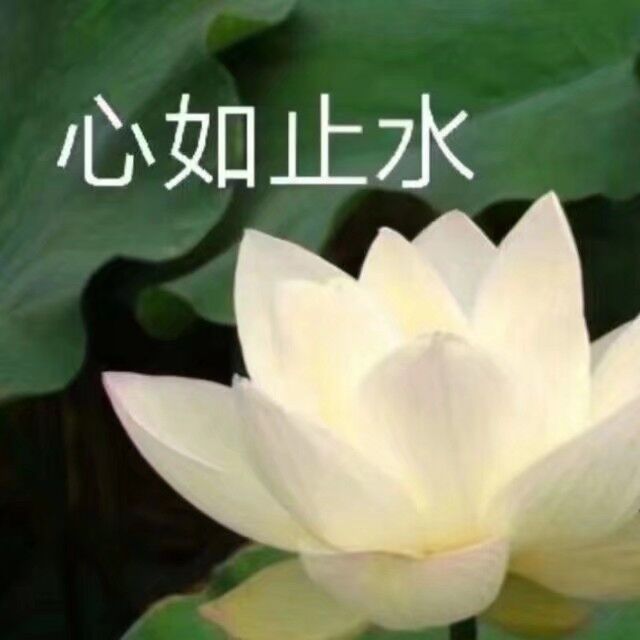 小师妹观察日志
