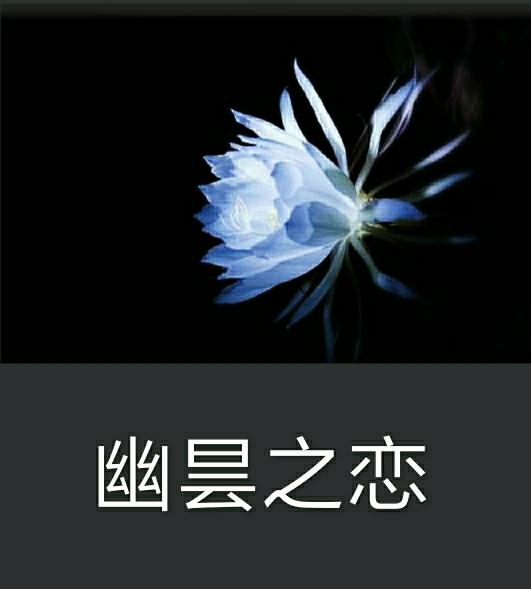 幽昙之恋