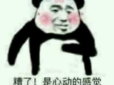 队友除我都是gay