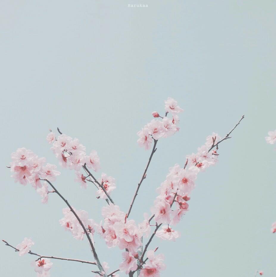学渣成长录
