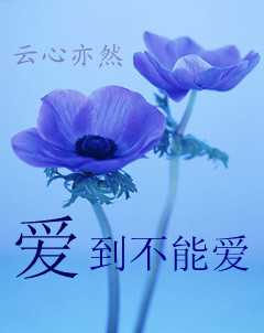 爱到不能爱