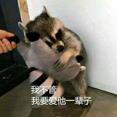 有一个偷白菜的梦想