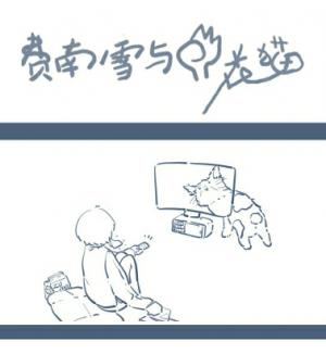 费南雪与三花猫