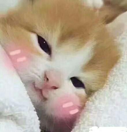 忘年
