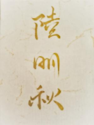 鲜衣坠马