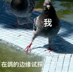 葵花宝典的打狗棒