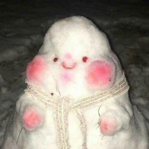 海棠依旧