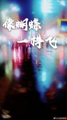 像蝴蝶一样飞
