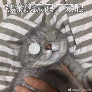 [家教]情报贩卖者