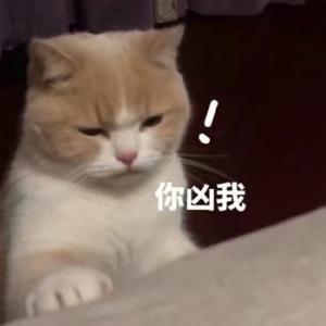 以观沧海