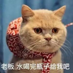 [刀剑乱舞]家政升级指南