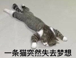 男神的正确打开方式
