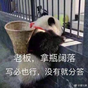 娘子一心想当大将军