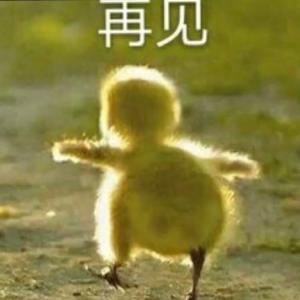 爱情实验