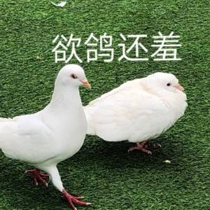 上仙大人了解一下
