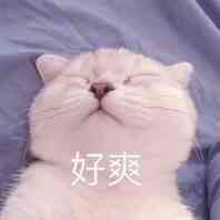癖