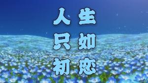人生只如初恋