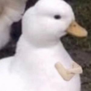 时间距离