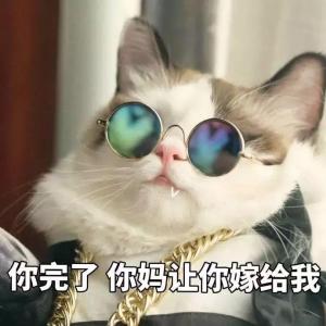 龙绡拭青锋