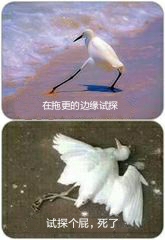 火影动物园