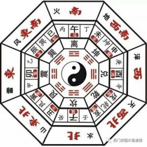 我家师尊有点高冷和暴力