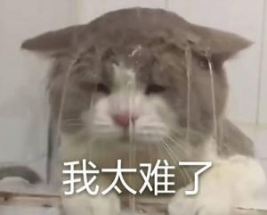 神仙引