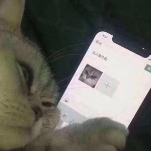 不想跟校霸谈恋爱怎么破