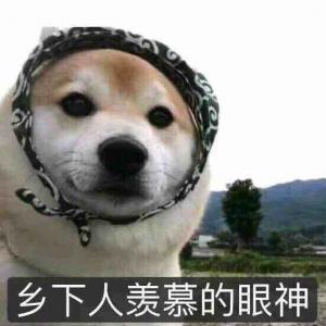 标准结局