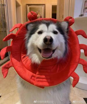 了僧缘