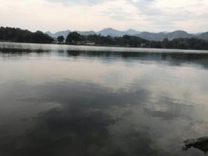 【令后】你永远是我的白月光