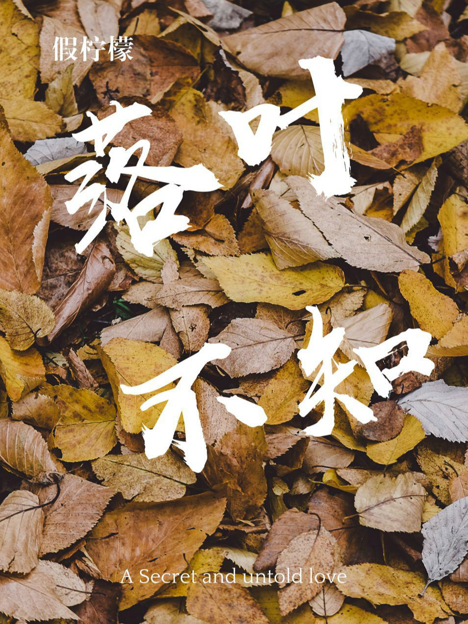 落叶不知