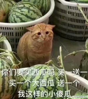 死星
