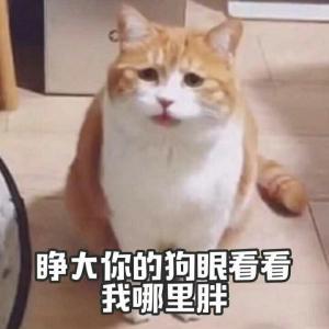 养一只小幽灵