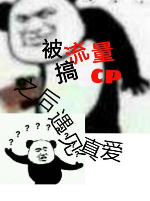 与流量成cp后遇见真爱