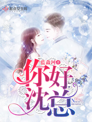 你好，沈总